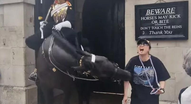 Összeesett a turista, akit megharapott a királyi testőr lova