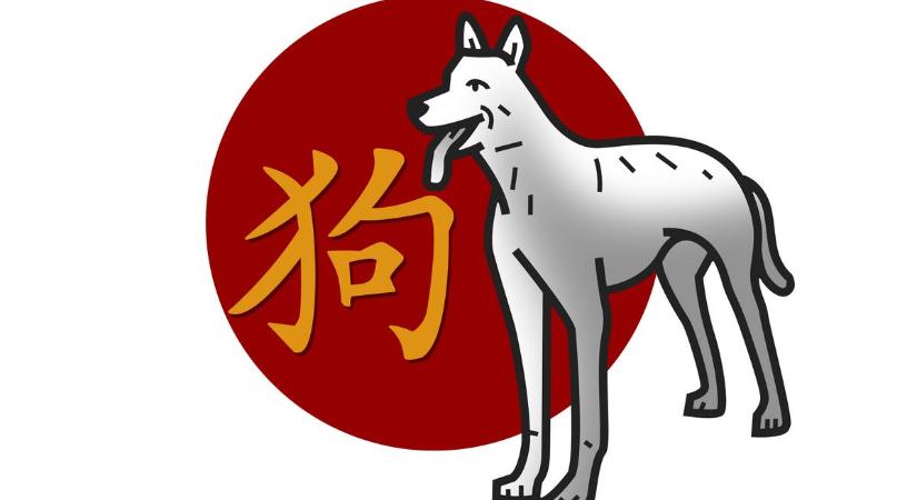 Kínai horoszkóp-előrejelzés augusztusra a Kutyáknak: mesés szerelem, önmegvalósítás vár rád. És egy olyan munka, amiben nagyot brillírozhatsz