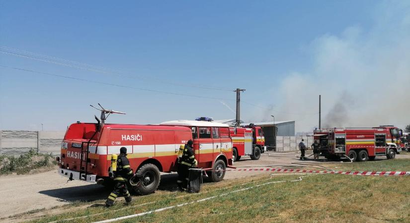 Tűzesetek miatt múlt héten 238-szor riasztották a tűzoltókat