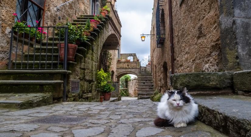 Ebben a mesebeli olasz falvacskában több a macska, mint az ember