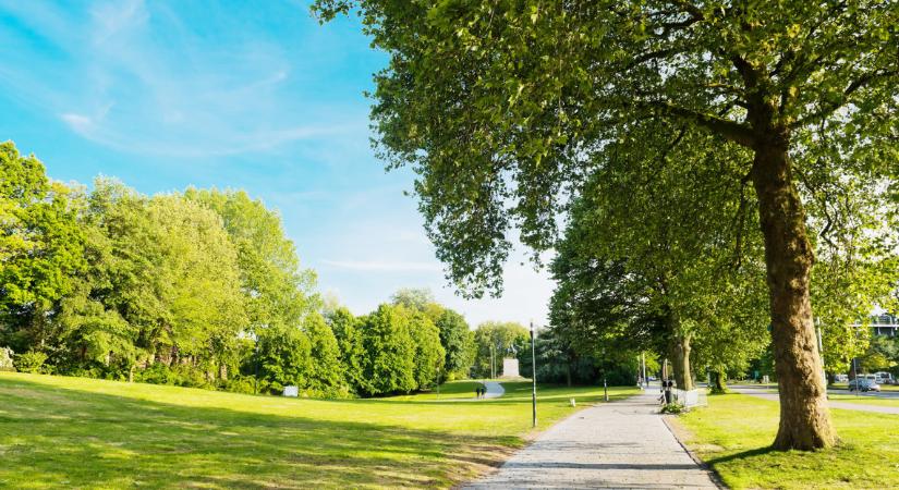 Hiába az évi sokszázezer látogató: magánkézbe kerülhet a vidéki kastély és egyedülálló parkja