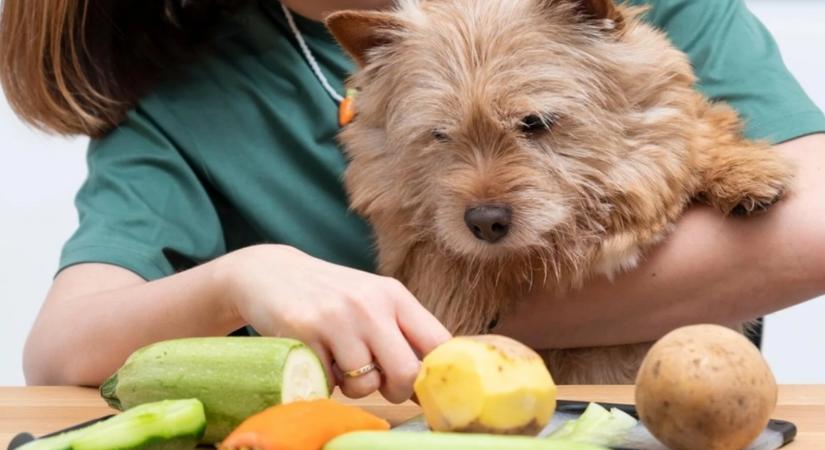 Kutyákra veszélyes zöldségek és gyümölcsök