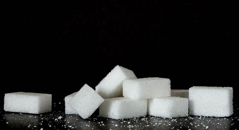 Újabb cukorgyárat zárhatnak be