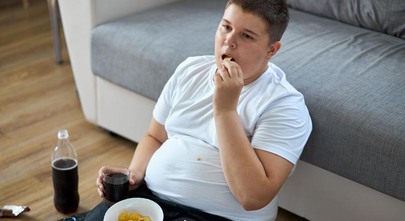 Az elhízás gyermekkorban kezdődő krónikus betegség - így segíthetünk a túlsúlyos gyerekeken!