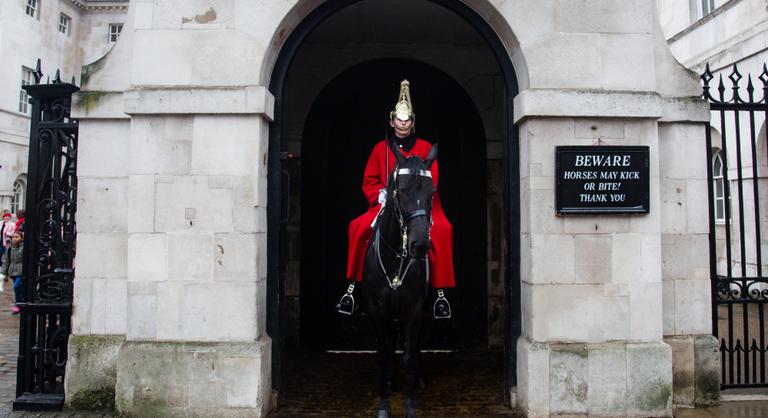 Megharapott egy turistát a királyi gárda egyik lova a Buckingham-palotánál