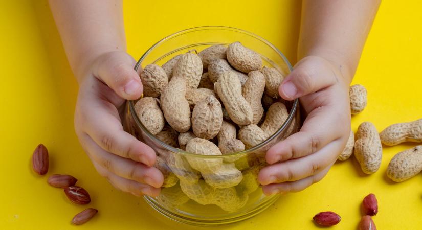 Gyermekkori ételallergia: ezt javasolja az allergológus
