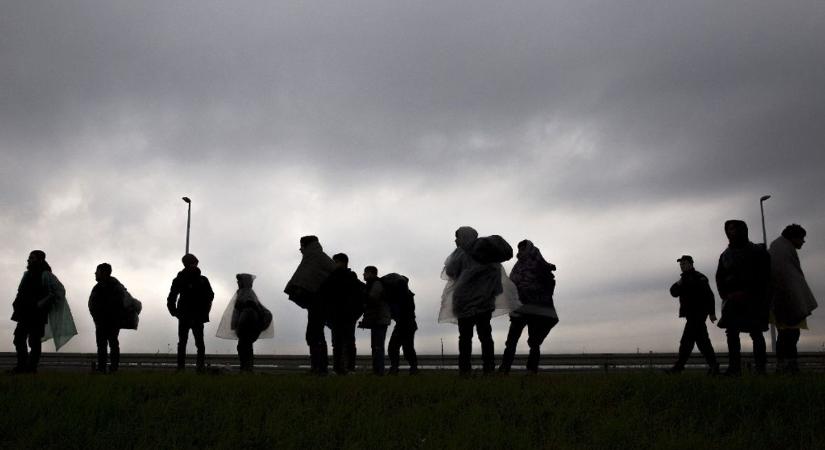 Ukrán szállította a migránsokat a balkáni útvonalon