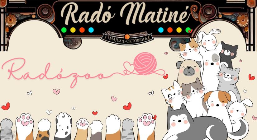 Radózoo: állatvédelmi nap a Matinén