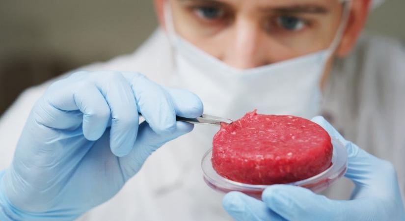Szintetikus hús előállítását sürgető kezdeményezést vesz nyilvántartásba az Európai Bizottság