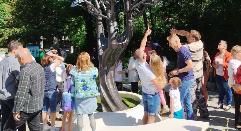 Az életet élteti a facsemete: köztéri szobrot készített Balatonföldvárra a siófoki Csiszár Zsolt