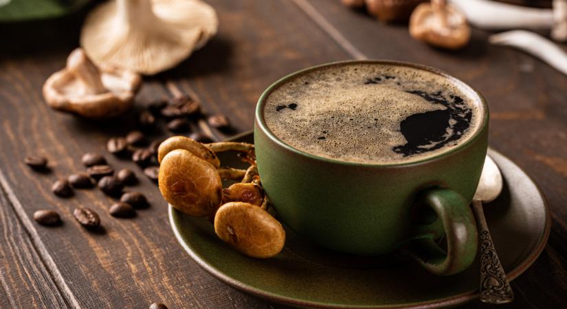 Ez lehet az új kávéőrület? Gombából készítik és rendkívül egészséges