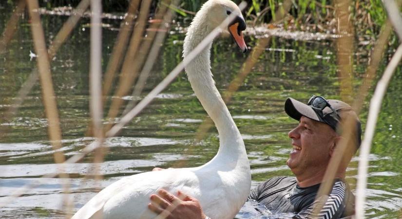 A madárpark új helyre költözött