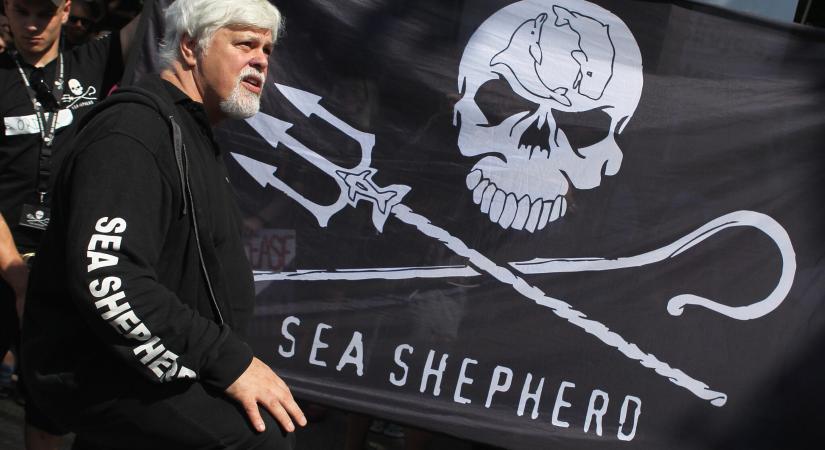 Letartóztatták Paul Watsont, a neves bálnavadászat-ellenes aktivistát