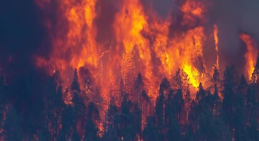 Több mint 1000 turistát evakuáltak Olaszországban erdőtűzek elől