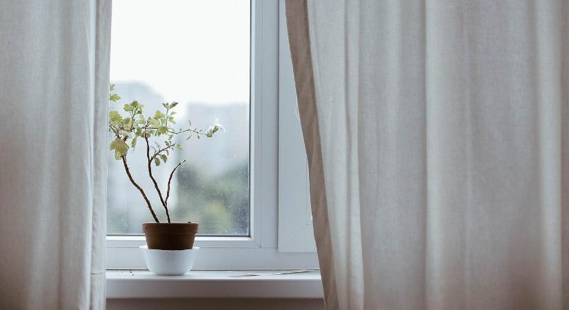 Hogyan éljék túl szobanövényeink a légkondicionálót?