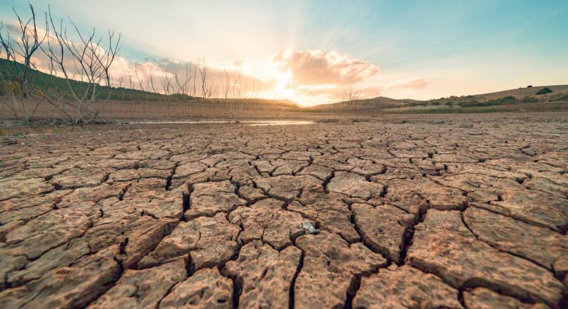 Öveket becsatolni: ez lesz az agrárium legsúlyosabb problémája