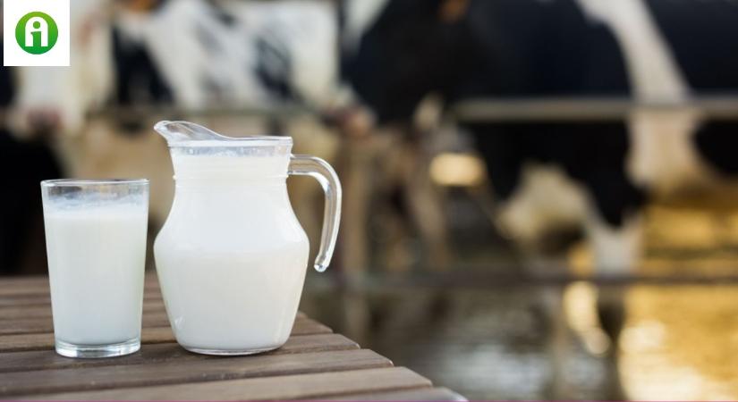 Elkészült a klímabarát tej, ennyivel kerül többe, mint a normál