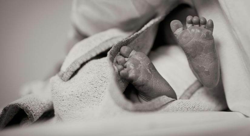 Szemetesből került elő az egynapos újszülött holtteste: vérfagyasztó, hogy találtak rá
