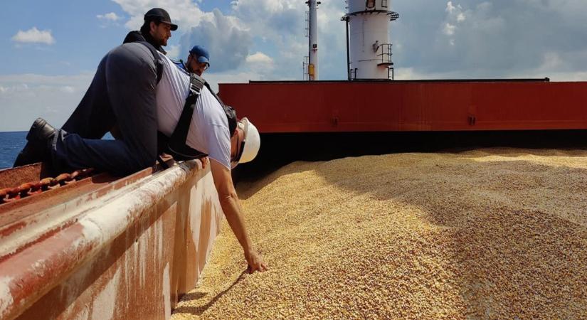 Lengyelországban több mint 70 cég ellen folyik vizsgálat az Ukrajnából származó gabonával elkövetett csalás miatt