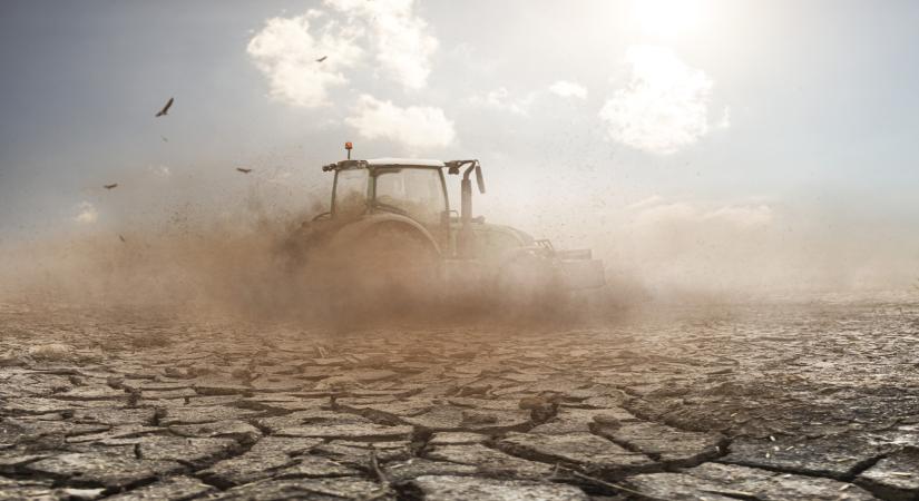Készülhetünk a 40 napos szárazságra: jön az újabb élelmiszerdrágulás?