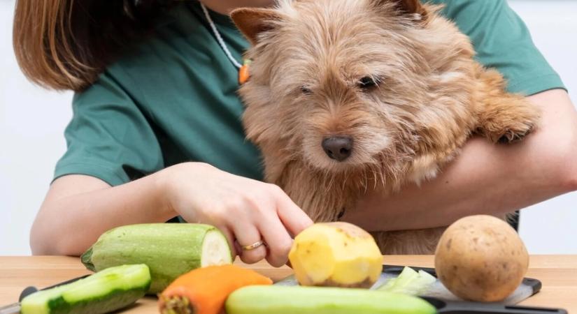 Ez a 7 zöldség és gyümölcs mérgező a kutyák számára!