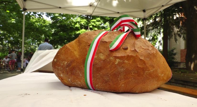 A gazdák évről évre többet adományoznak a magyarok kenyere programba  videó