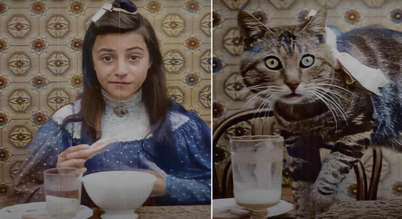 Itt egy százhúsz éves film, amiben egy macska úgy dönt, szüksége van egy lány reggelijére