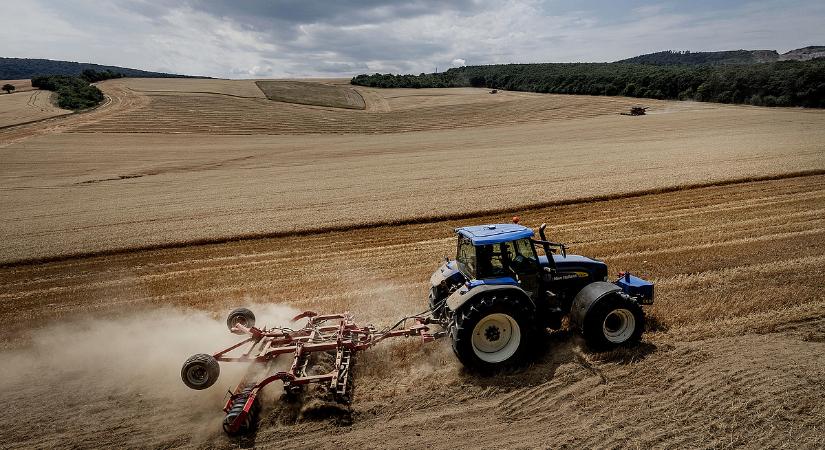 Tömeges csőd fenyegeti a magyar gazdákat, ha a kormány nem lép