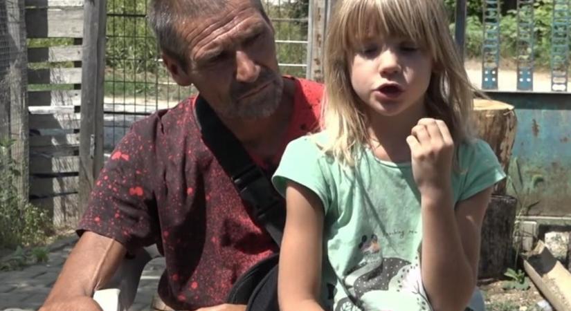 Hős kislányának köszönheti az életét: kis híján belehalt a darazsak csípéseibe a tatabányai férfi