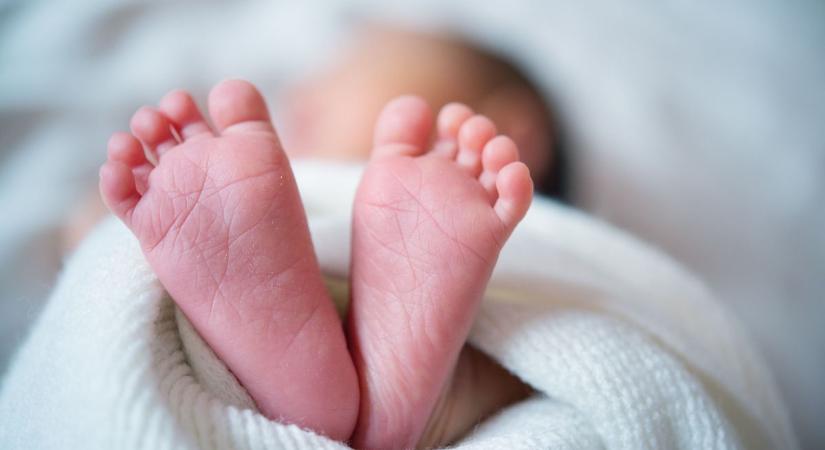 Halott csecsemőt találtak egy szemetesben