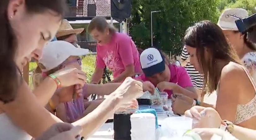 Mozgáskorlátozott fiatalokat láttak vendégül a családjukkal együtt a Művészetek Völgyében  videó