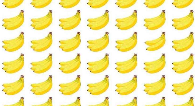 Valódi zseni vagy, ha megtalálod a kakukktojást a banánok között 6 másodperc alatt