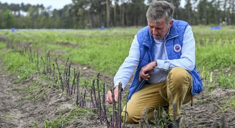 Németország mezőgazdasága: hogy lesz termés, ha nincs utánpótlás?