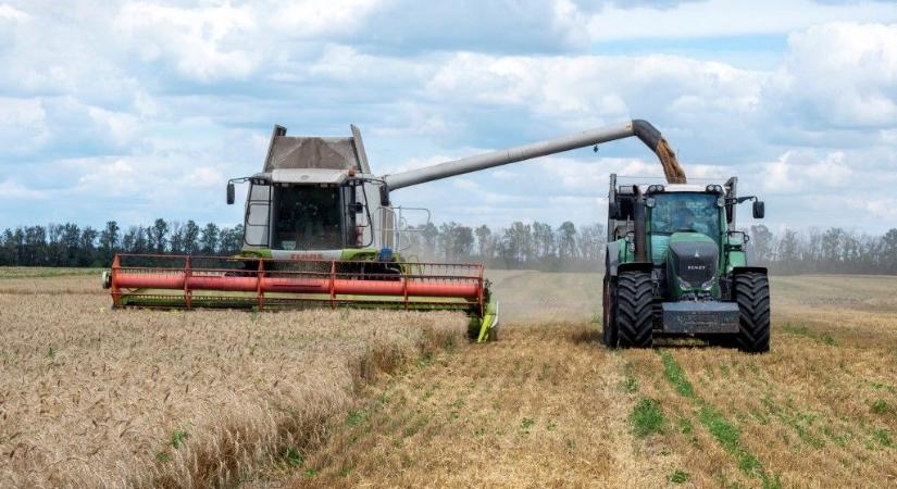 Ukrajnában a gabonafélék 20 százalékos terméskiesését okozta a nyári hőség – Agrárpolitikai Minisztérium