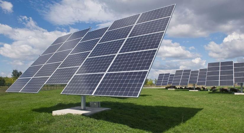 Napenergia: ismét csúcsot döntöttek az ipari naperőművek