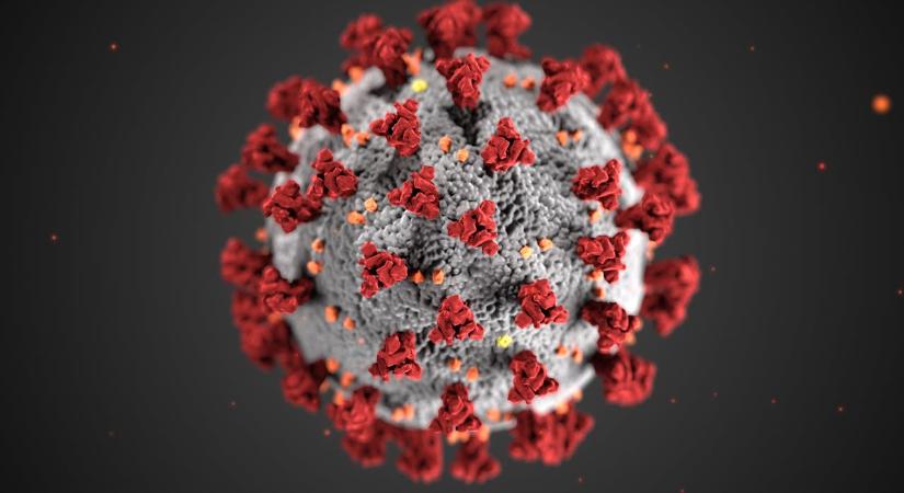 Koronavírus-fertőzés: 71 százalékkal több a beteg, mint korábban