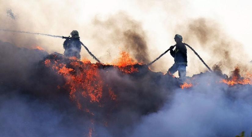 Júliusban eddig 73 szabadtéri tűzesethez riasztották a tűzoltókat Bács-Kiskunban