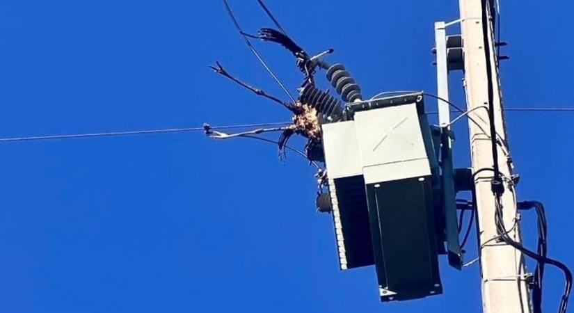 Egy gólya halála okozott áramszünetet egész Sándorfalván