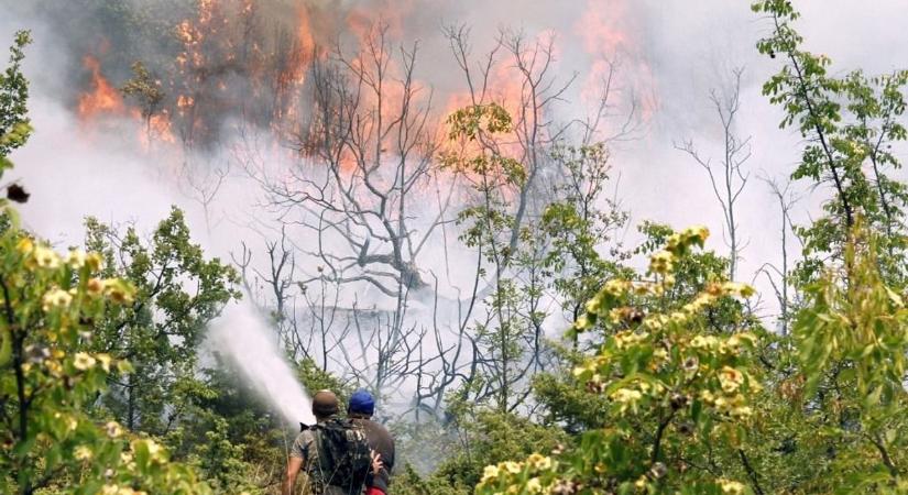 Lángokban áll a Balkán - népszerű horvát nyaralóhelyeket fenyeget az erdőtűz