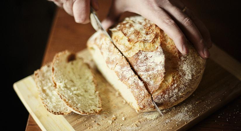 Boldog Lisztből sül idén Bács-Kiskun kenyere: több mint negyven település adja hozzá a búzát