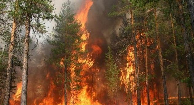 Erdőtüzek pusztítanak Észak-Macedóniában