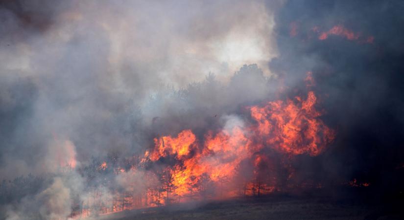 Magyar tűzoltók is részt vesznek az Észak-macedóniai erdőtüzek oltásában