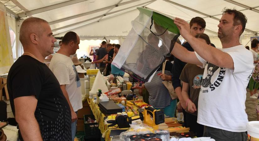 Még a csapból is méz folyik vasárnap Jászberényben - nemzetközi vásárt és méhésztalálkozót rendeznek