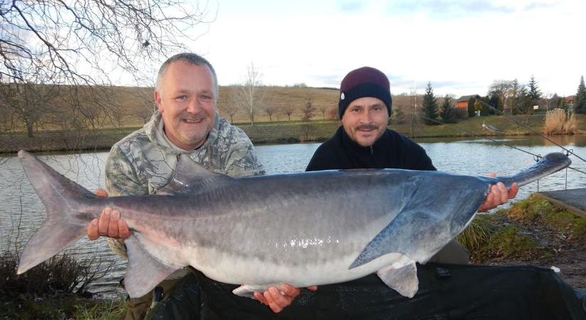 Az andornaktályai horgász lapátorrú tokból Európa-rekordot tart, pontyból 20 kilogramm fölött jár