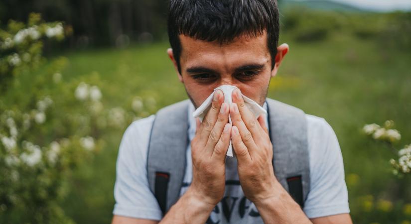 Tippek, hogy az allergia ne rontsa el a nyár végi kikapcsolódást