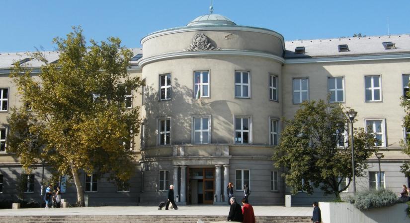 Sokkal többen jelölték meg ezt a szakot a Dunaújvárosi Egyetemen állami ösztöndíjas formában, mégis csak az önköltséges képzés indult el