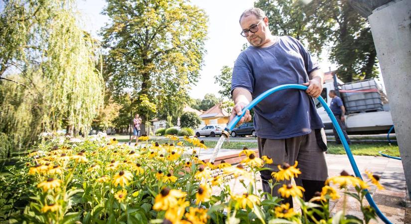 Locsoljanak többet – kérte a csabai alpolgármester