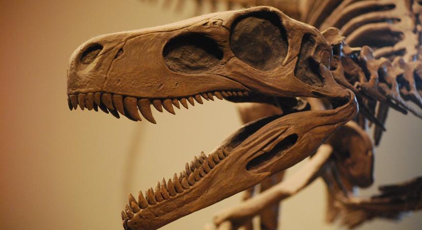 Heves esőzések mosták a felszínre az egyik legősibb dinoszaurusz maradványait Brazíliában