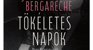 Jacobo Bergareche: Tökéletes napok