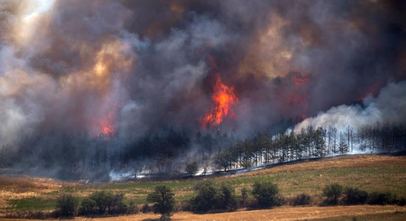 Négy somogyi tűzoltó is segít az észak-macedóni erdőtüzek megfékezésében